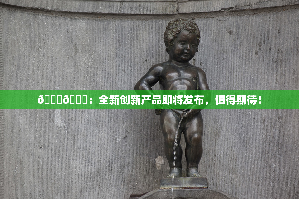 🐔🐔：全新创新产品即将发布，值得期待！