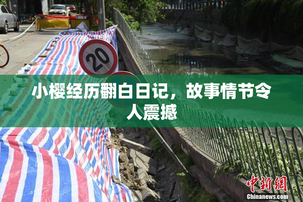 小樱经历翻白日记，故事情节令人震撼