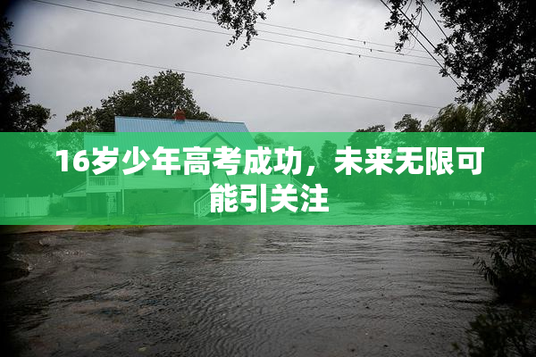 16岁少年高考成功，未来无限可能引关注