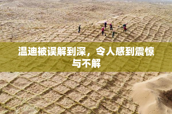 温迪被误解到深，令人感到震惊与不解