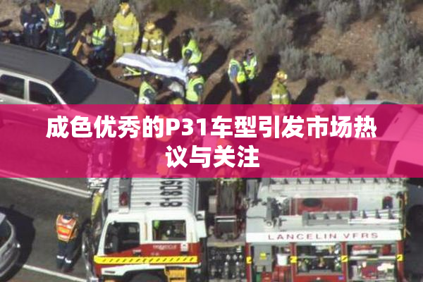 成色优秀的P31车型引发市场热议与关注