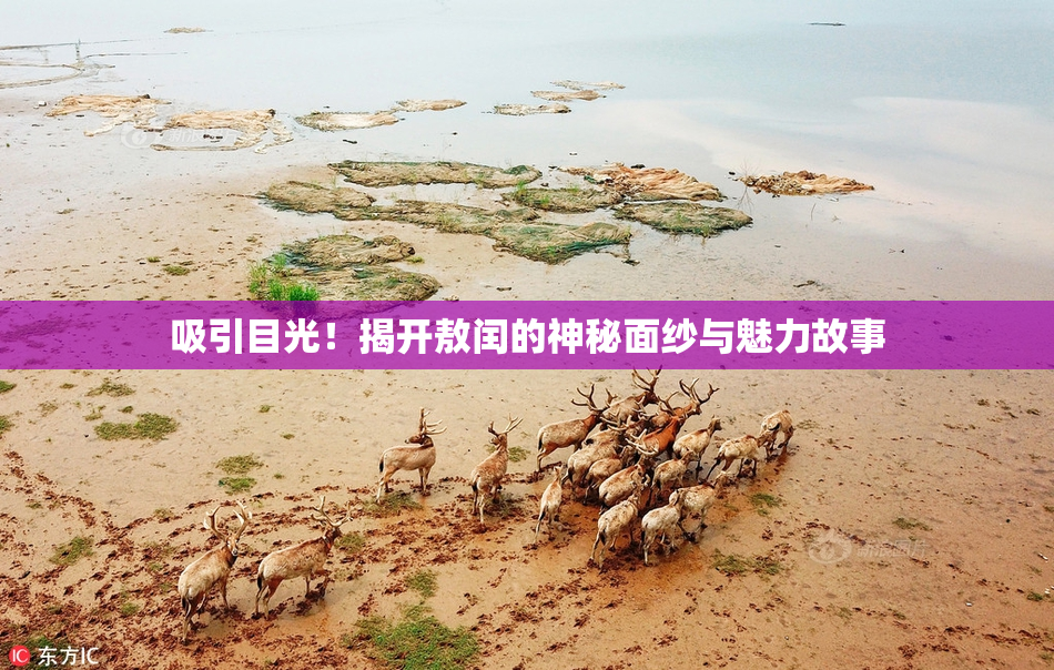 吸引目光！揭开敖闰的神秘面纱与魅力故事