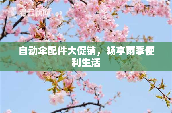 自动伞配件大促销，畅享雨季便利生活