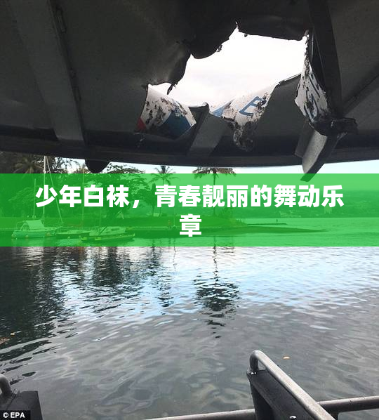 少年白袜，青春靓丽的舞动乐章