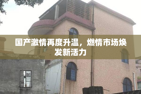 国产激情再度升温，燃情市场焕发新活力