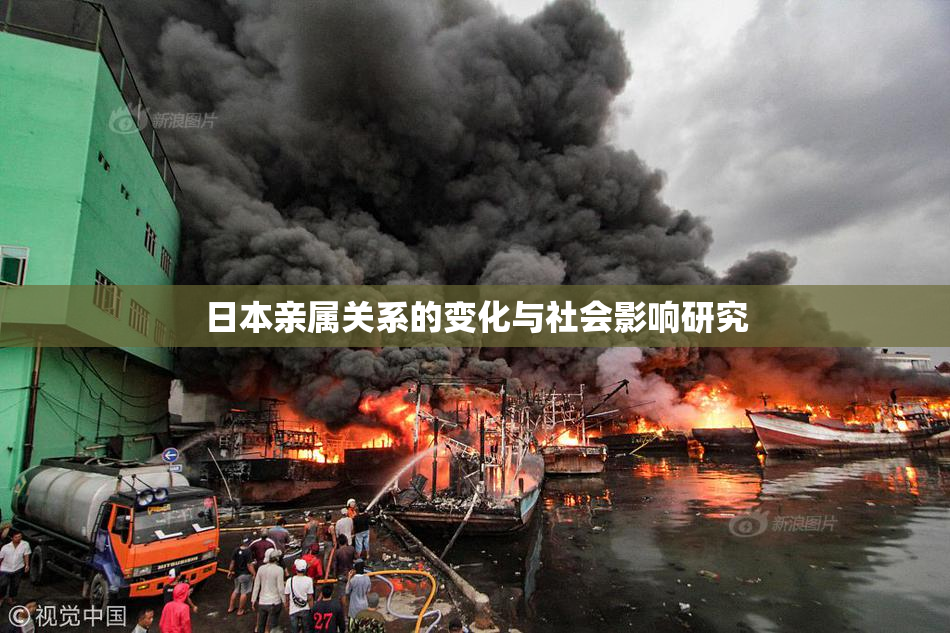 日本亲属关系的变化与社会影响研究