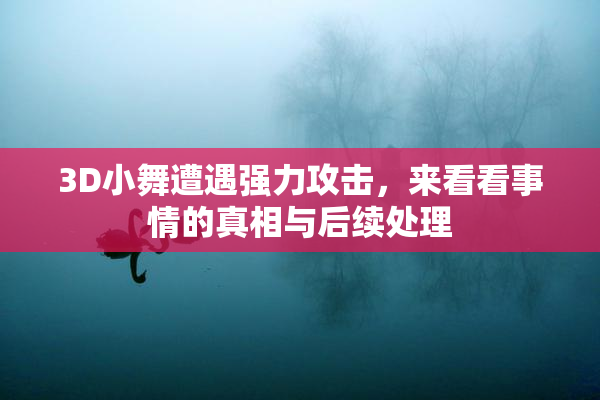 3D小舞遭遇强力攻击，来看看事情的真相与后续处理