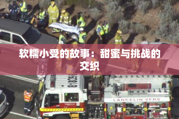 软糯小受的故事：甜蜜与挑战的交织