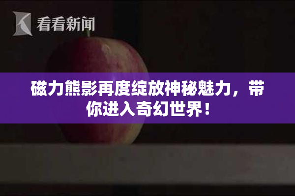 磁力熊影再度绽放神秘魅力，带你进入奇幻世界！