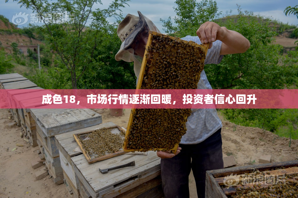 成色18，市场行情逐渐回暖，投资者信心回升