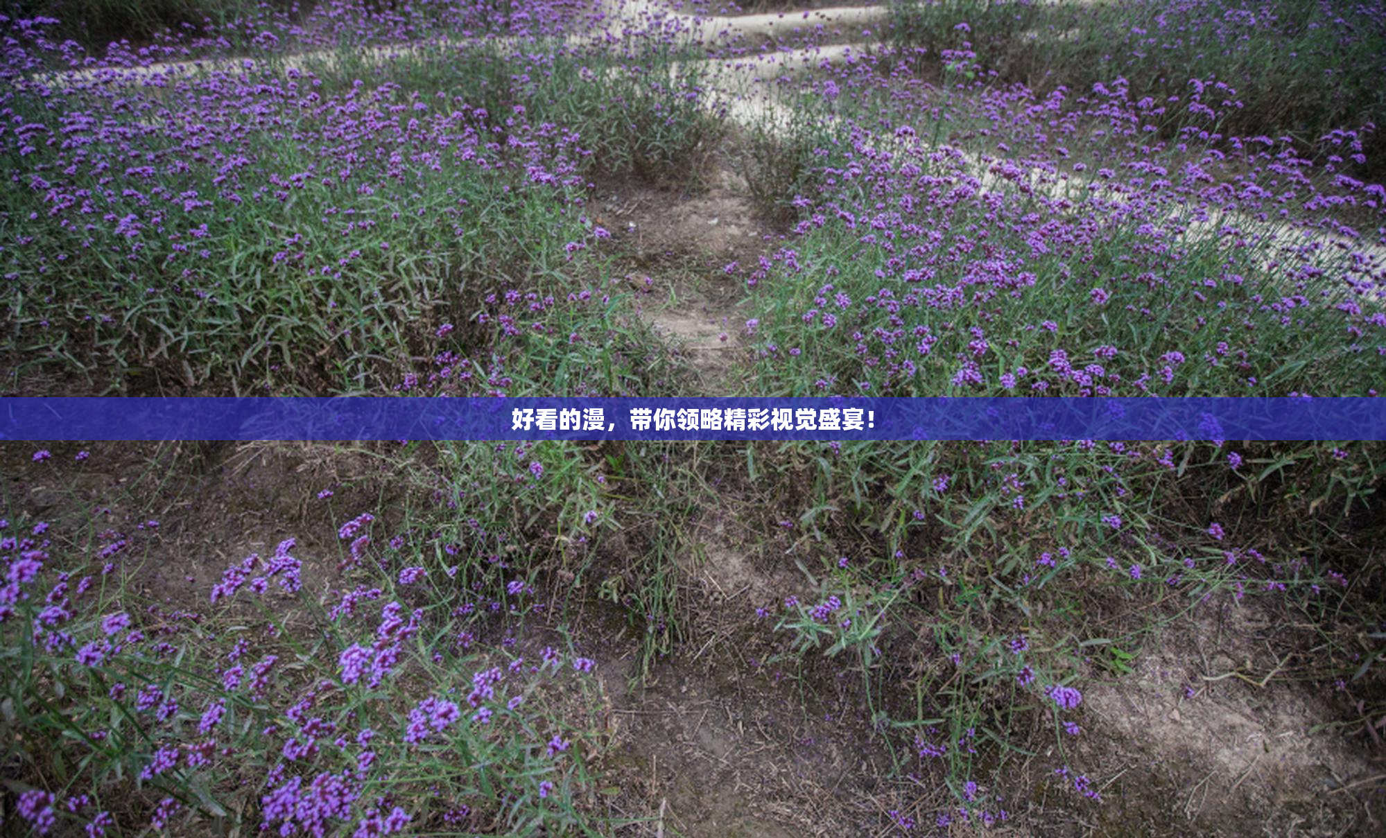 好看的漫，带你领略精彩视觉盛宴！