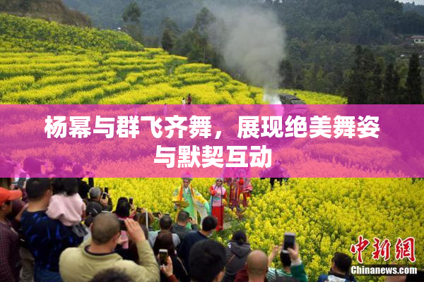杨幂与群飞齐舞，展现绝美舞姿与默契互动