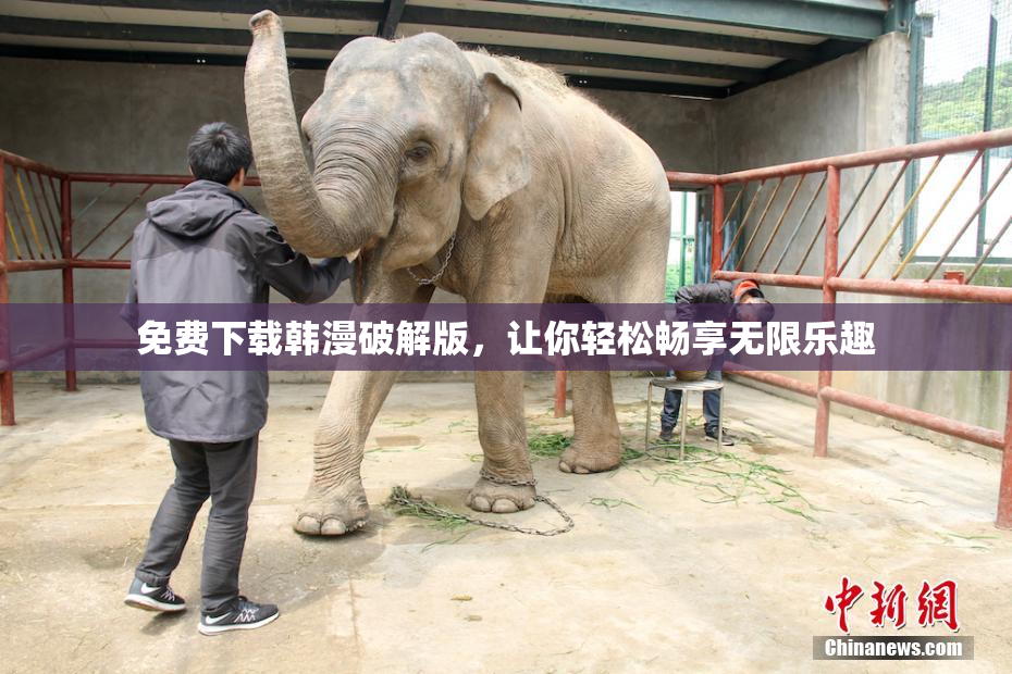 免费下载韩漫破解版，让你轻松畅享无限乐趣