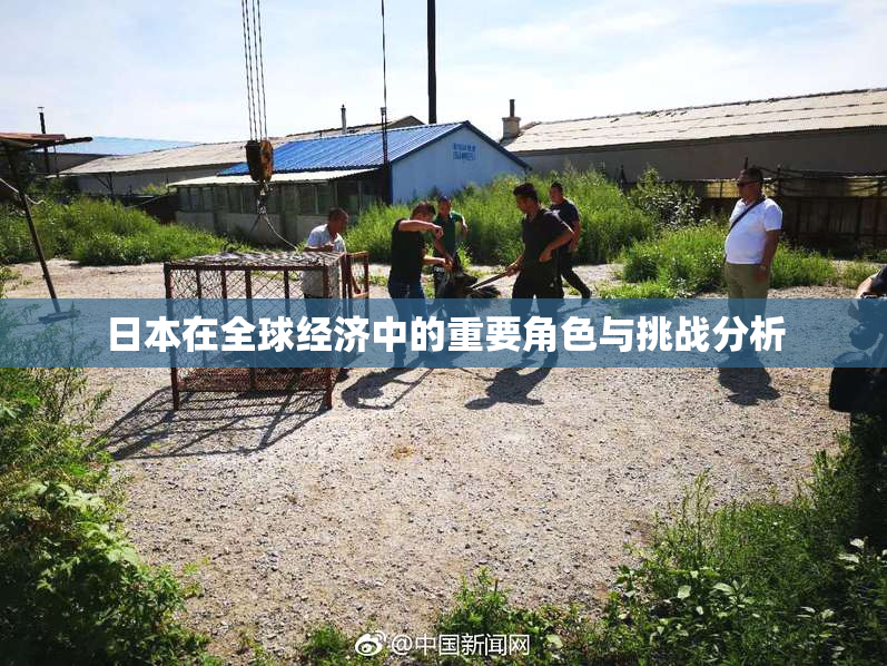 日本在全球经济中的重要角色与挑战分析