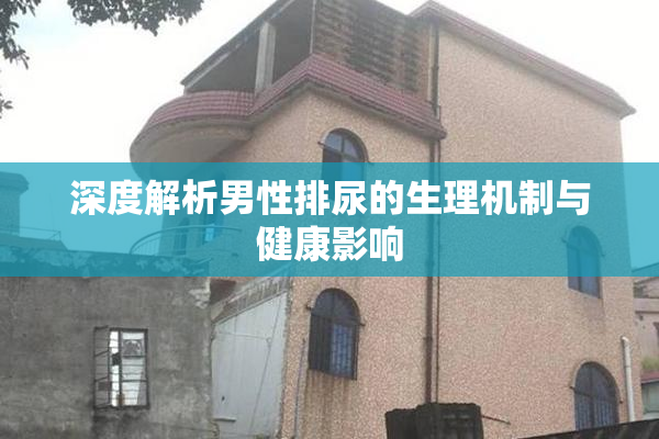 深度解析男性排尿的生理机制与健康影响