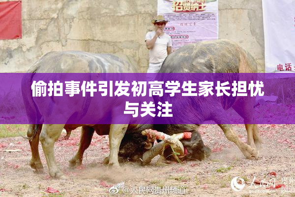 偷拍事件引发初高学生家长担忧与关注