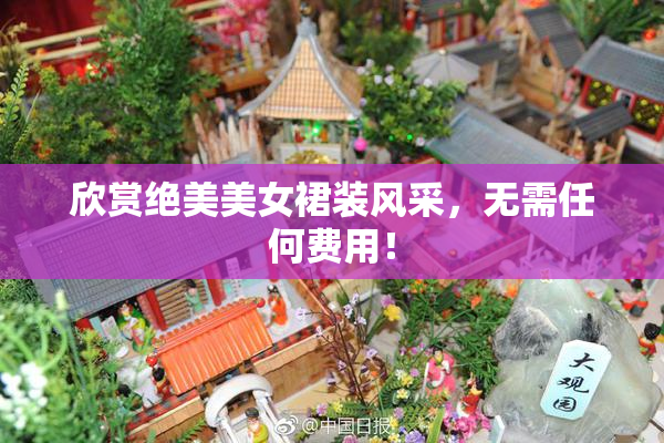 欣赏绝美美女裙装风采，无需任何费用！