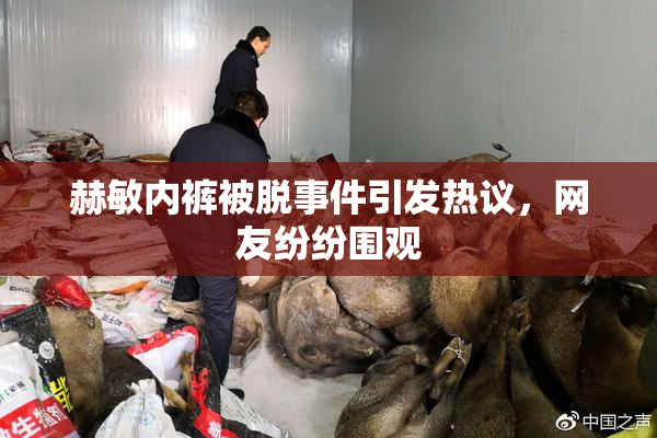 赫敏内裤被脱事件引发热议，网友纷纷围观