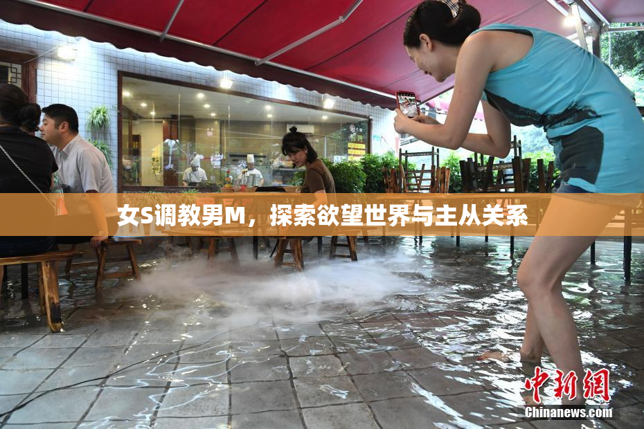 女S调教男M，探索欲望世界与主从关系