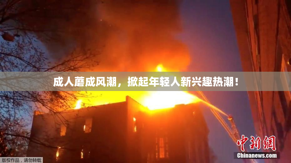 成人蘑成风潮，掀起年轻人新兴趣热潮！