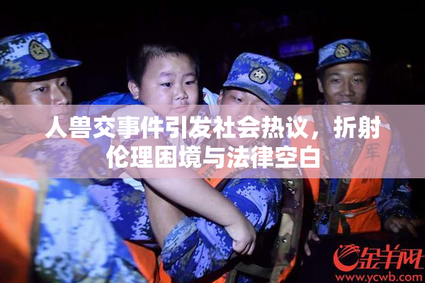 人兽交事件引发社会热议，折射伦理困境与法律空白
