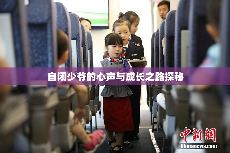 自闭少爷的心声与成长之路探秘