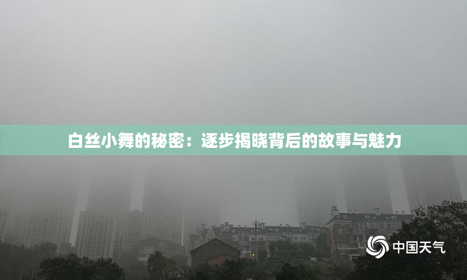 白丝小舞的秘密：逐步揭晓背后的故事与魅力