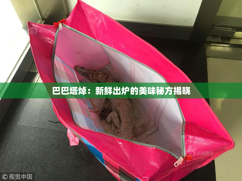 巴巴塔焯：新鲜出炉的美味秘方揭晓