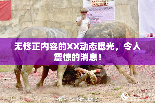 无修正内容的XX动态曝光，令人震惊的消息！