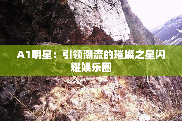 A1明星：引领潮流的璀璨之星闪耀娱乐圈
