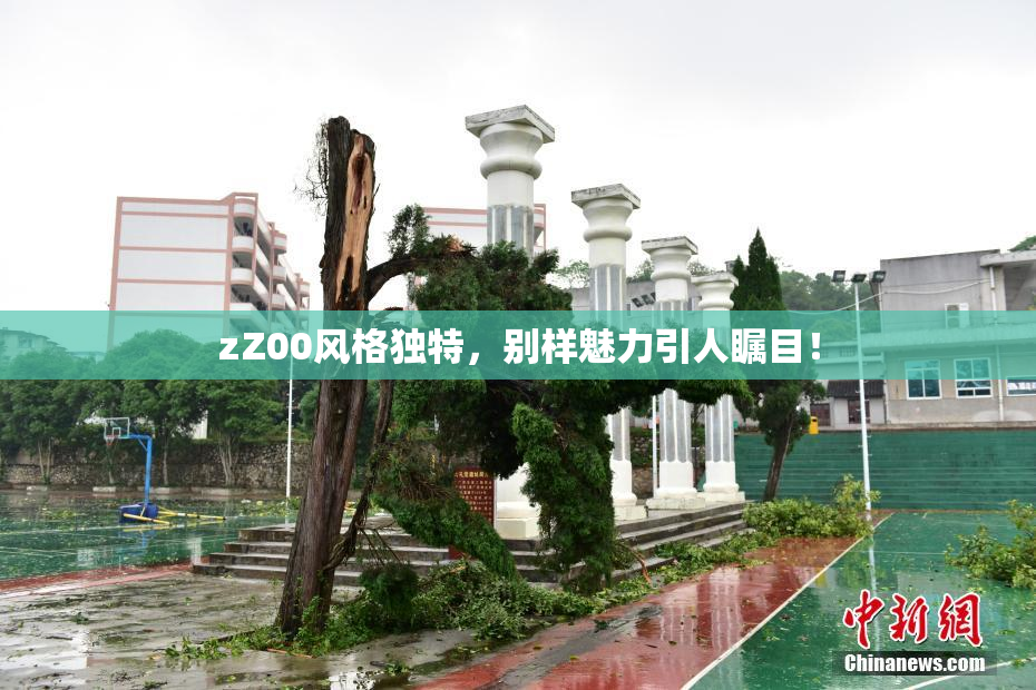 zZ00风格独特，别样魅力引人瞩目！