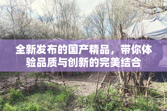 全新发布的国产精品，带你体验品质与创新的完美结合