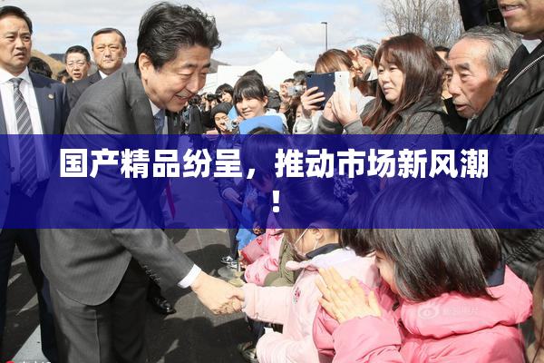 国产精品纷呈，推动市场新风潮！