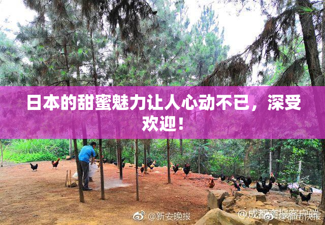 日本的甜蜜魅力让人心动不已，深受欢迎！