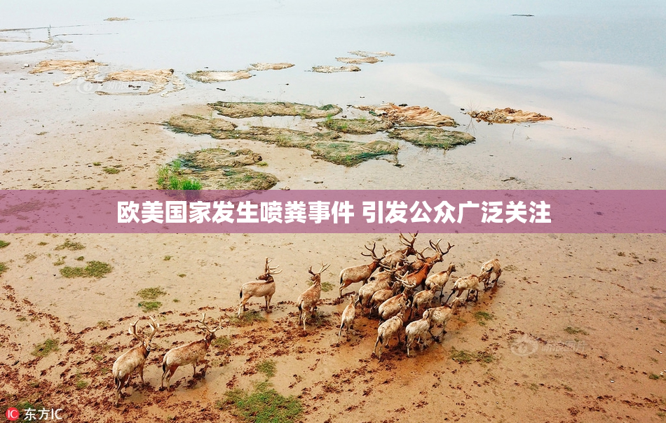 欧美国家发生喷粪事件 引发公众广泛关注