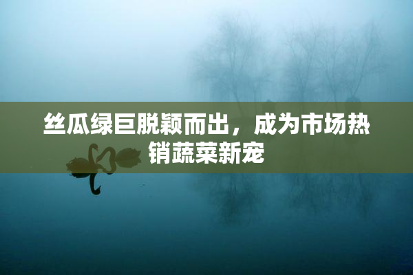 丝瓜绿巨脱颖而出，成为市场热销蔬菜新宠