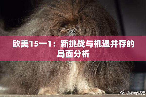 欧美15一1：新挑战与机遇并存的局面分析