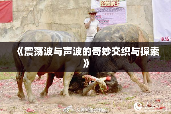 《震荡波与声波的奇妙交织与探索》