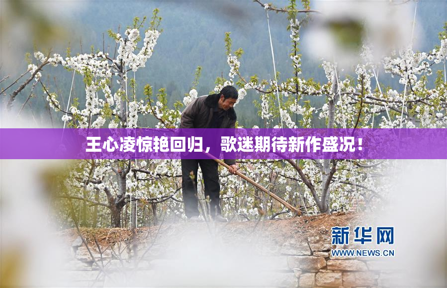 王心凌惊艳回归，歌迷期待新作盛况！