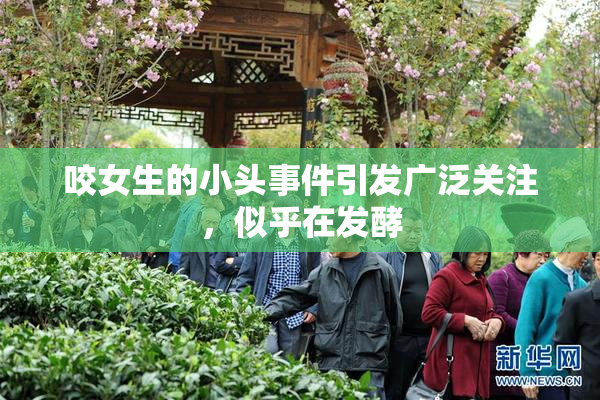 咬女生的小头事件引发广泛关注，似乎在发酵