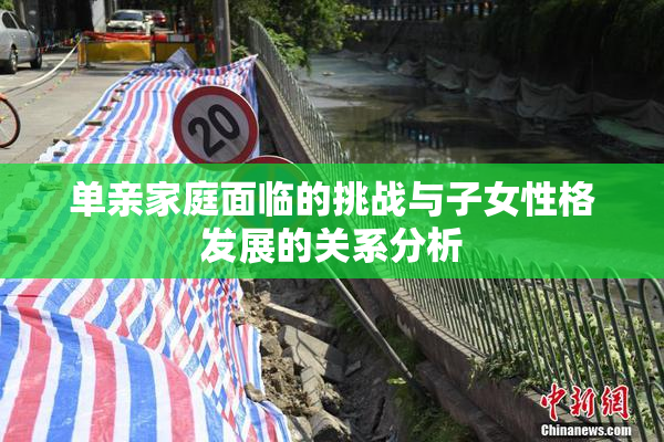单亲家庭面临的挑战与子女性格发展的关系分析
