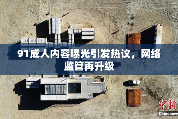 91成人内容曝光引发热议，网络监管再升级