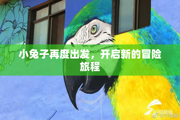 小兔子再度出发，开启新的冒险旅程