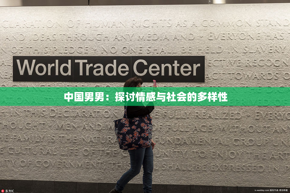 中国男男：探讨情感与社会的多样性