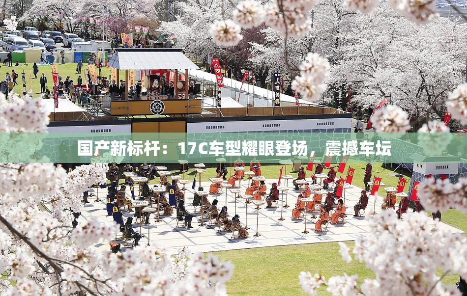 国产新标杆：17C车型耀眼登场，震撼车坛