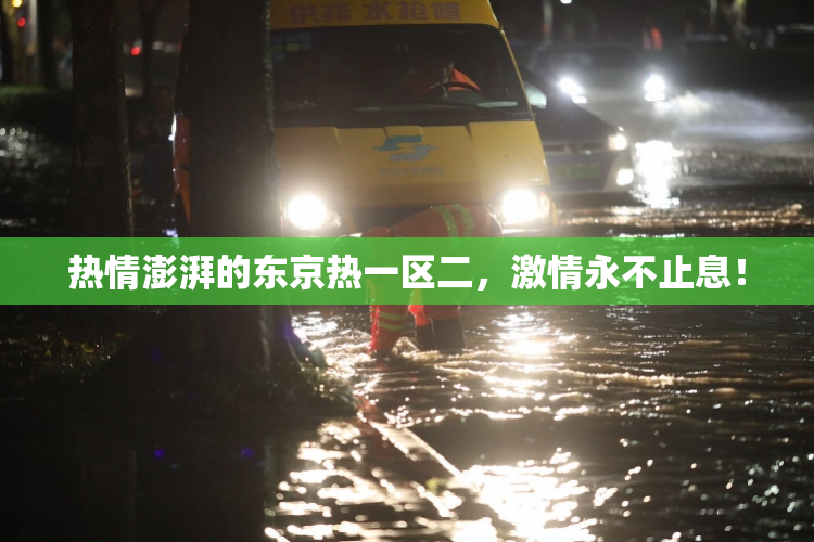 热情澎湃的东京热一区二，激情永不止息！