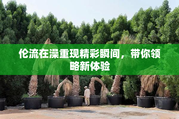 伦流在澡重现精彩瞬间，带你领略新体验