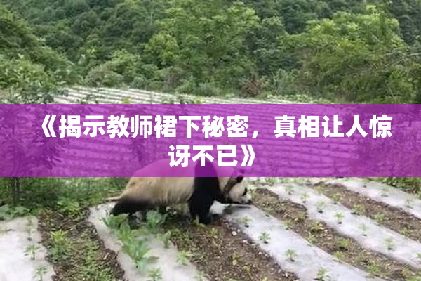 《揭示教师裙下秘密，真相让人惊讶不已》