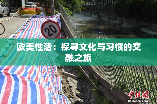 欧美性活：探寻文化与习惯的交融之旅