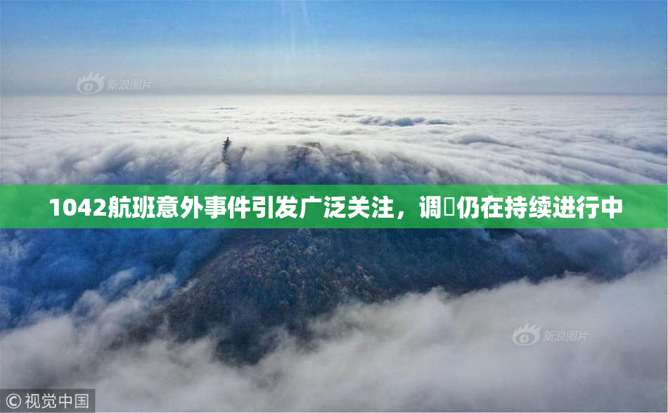 1042航班意外事件引发广泛关注，调査仍在持续进行中